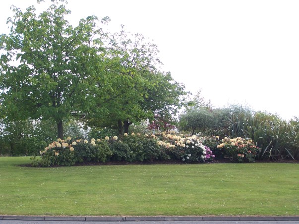 Looking towards Auchmuty