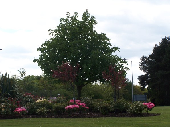 Closer view of the roundabout near Raeburn Heights